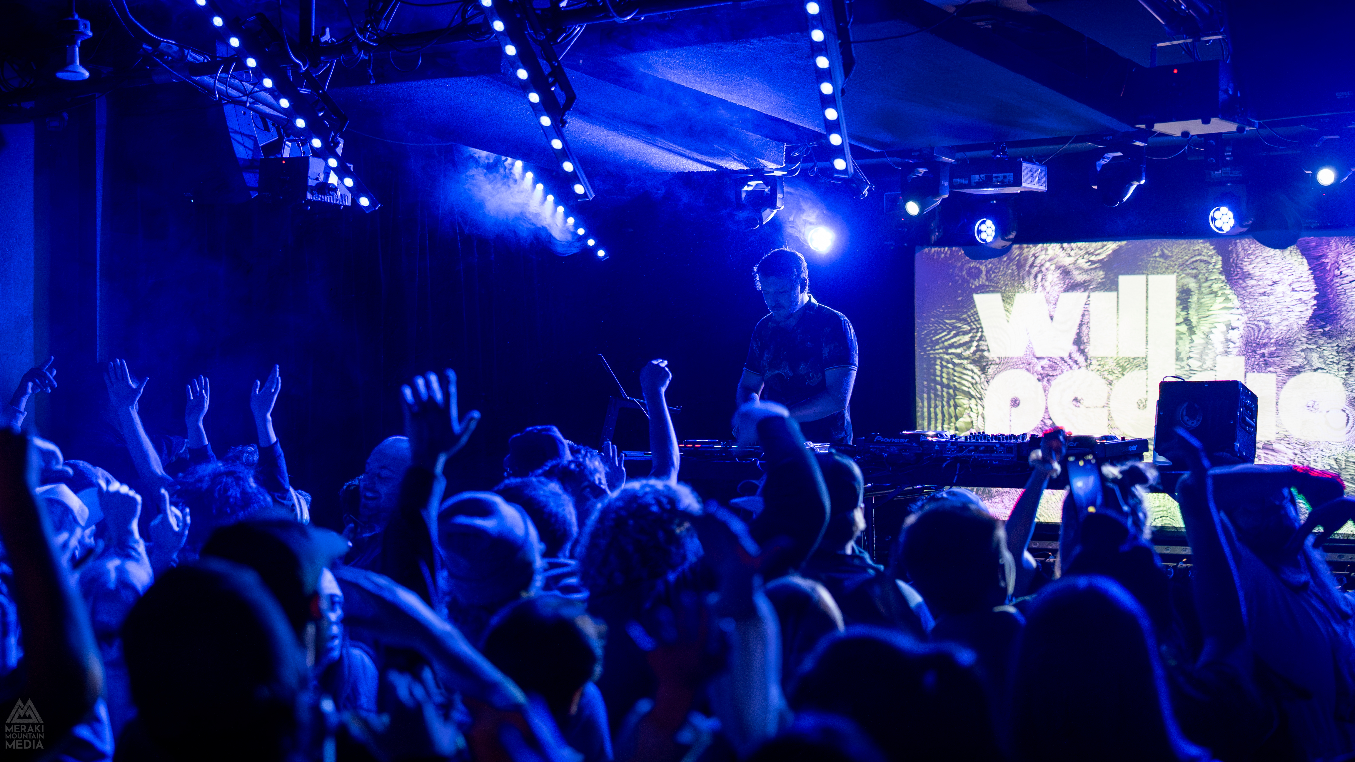 Will Peddie performing live